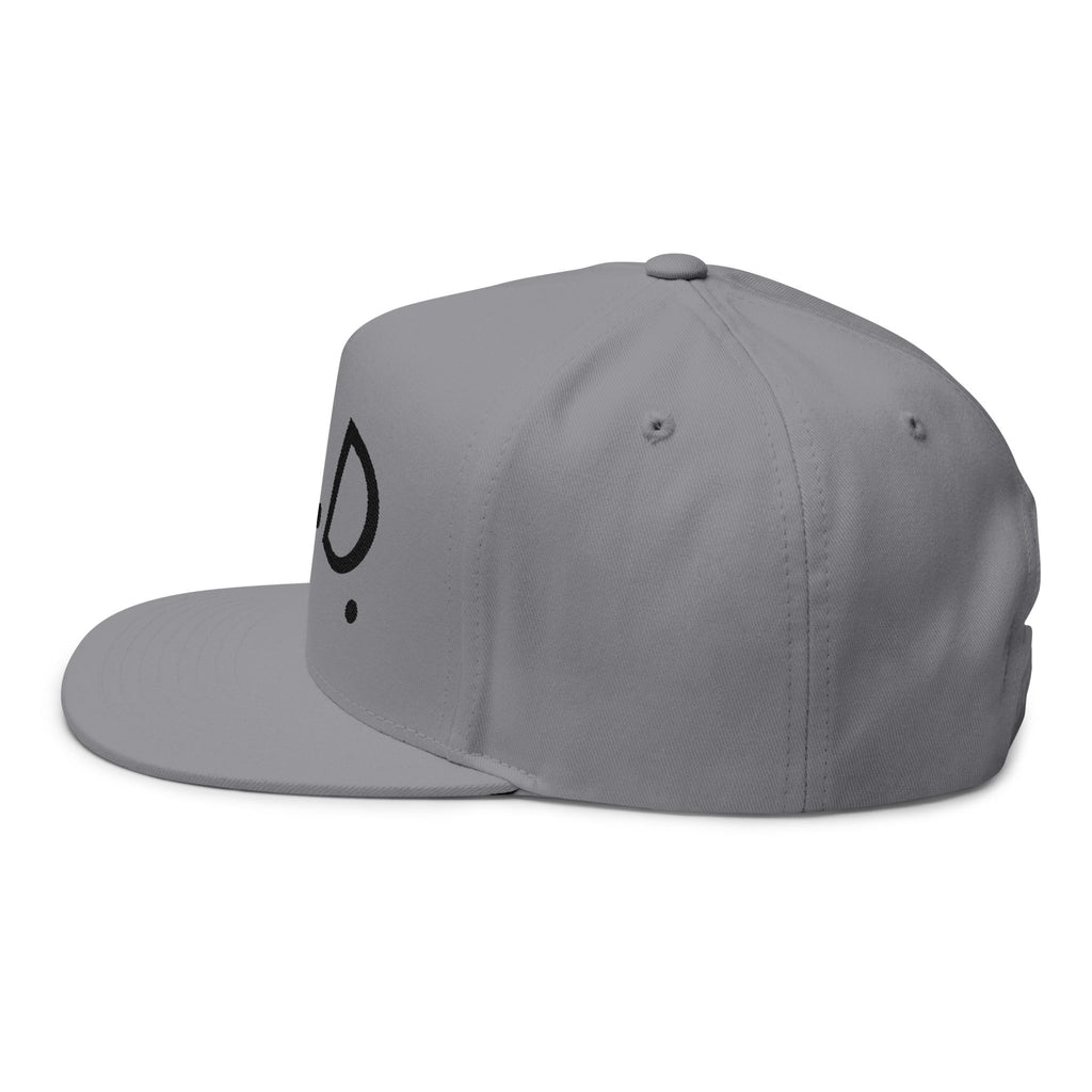 P.L.D. Embroidered Flat Bill Cap