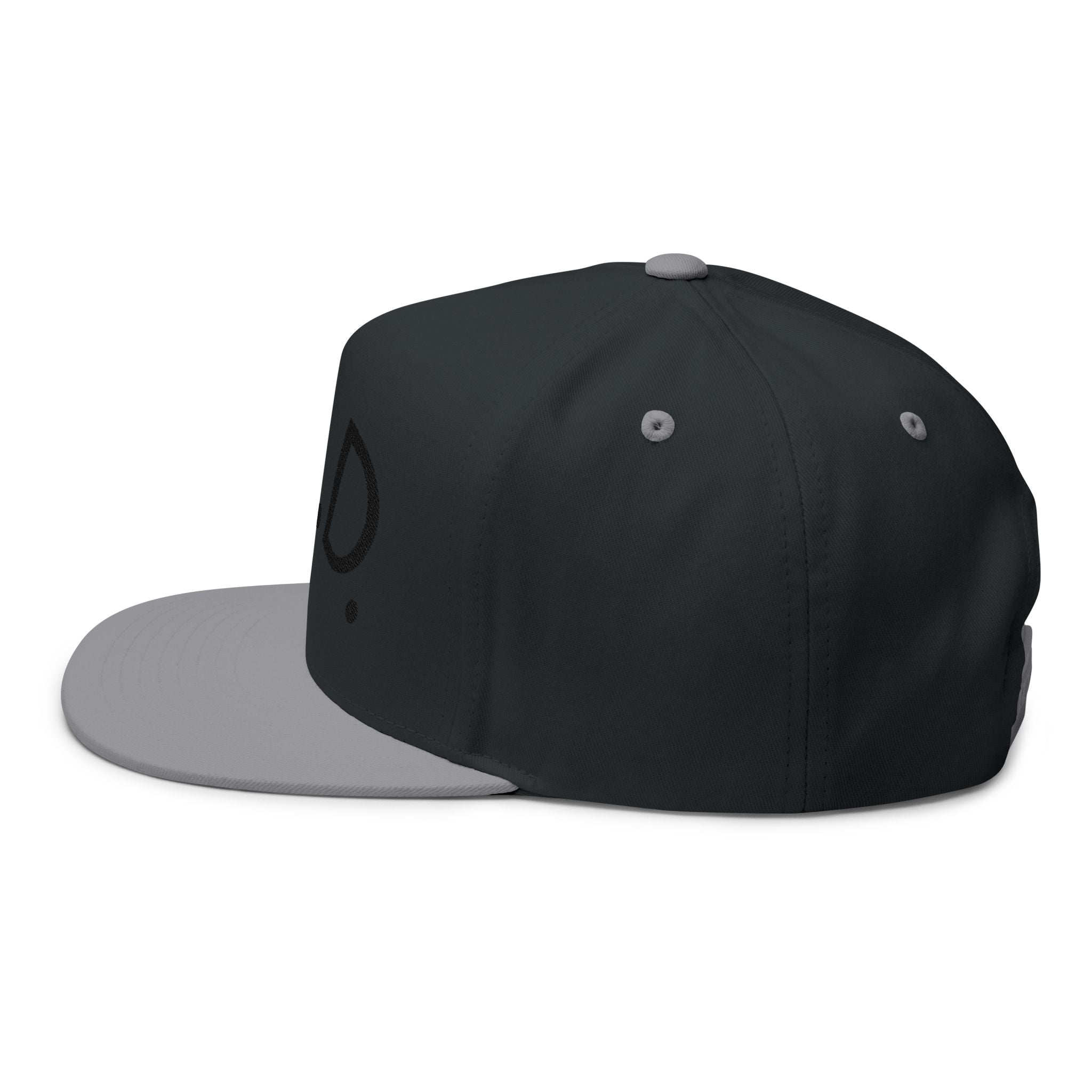 P.L.D. Embroidered Flat Bill Cap