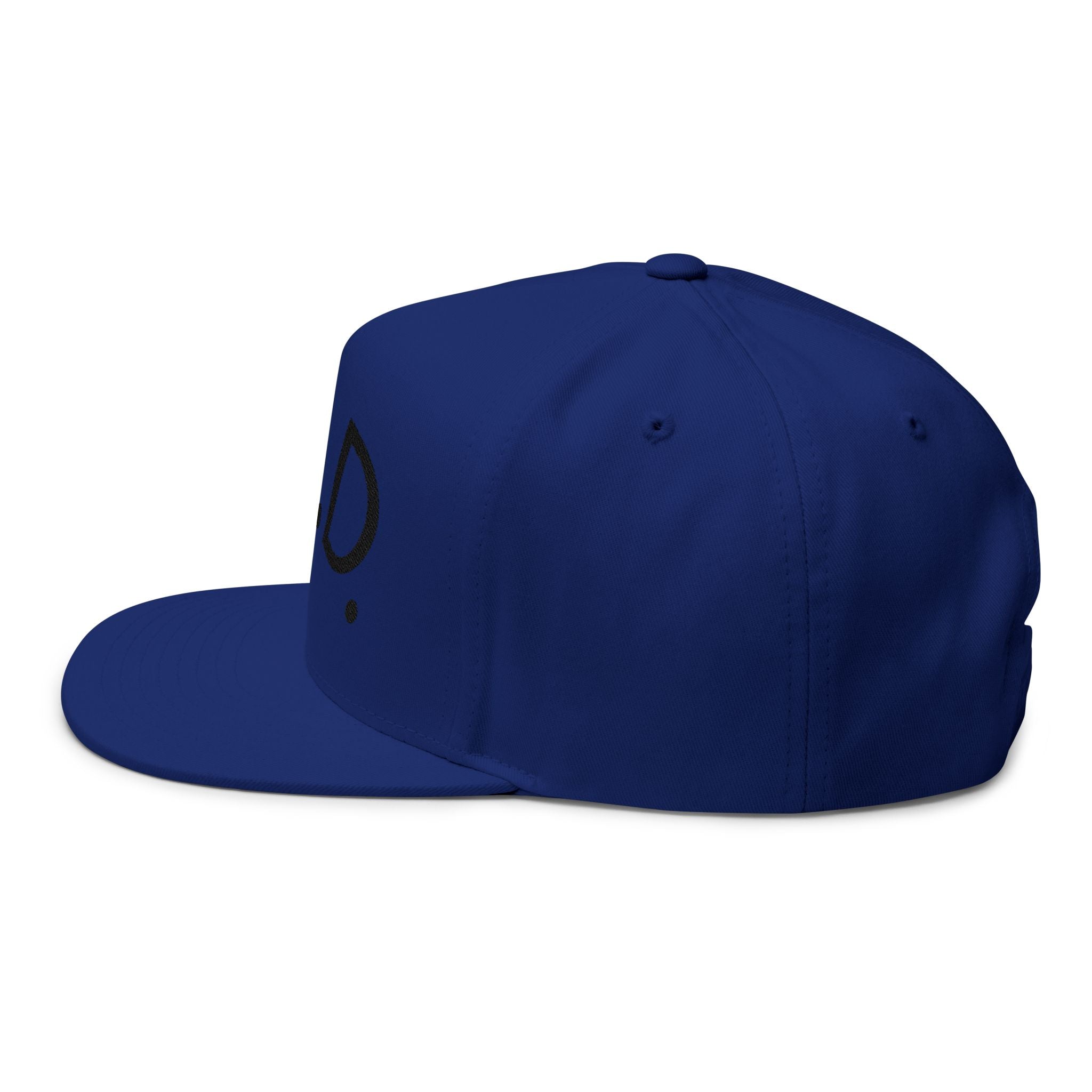 P.L.D. Embroidered Flat Bill Cap