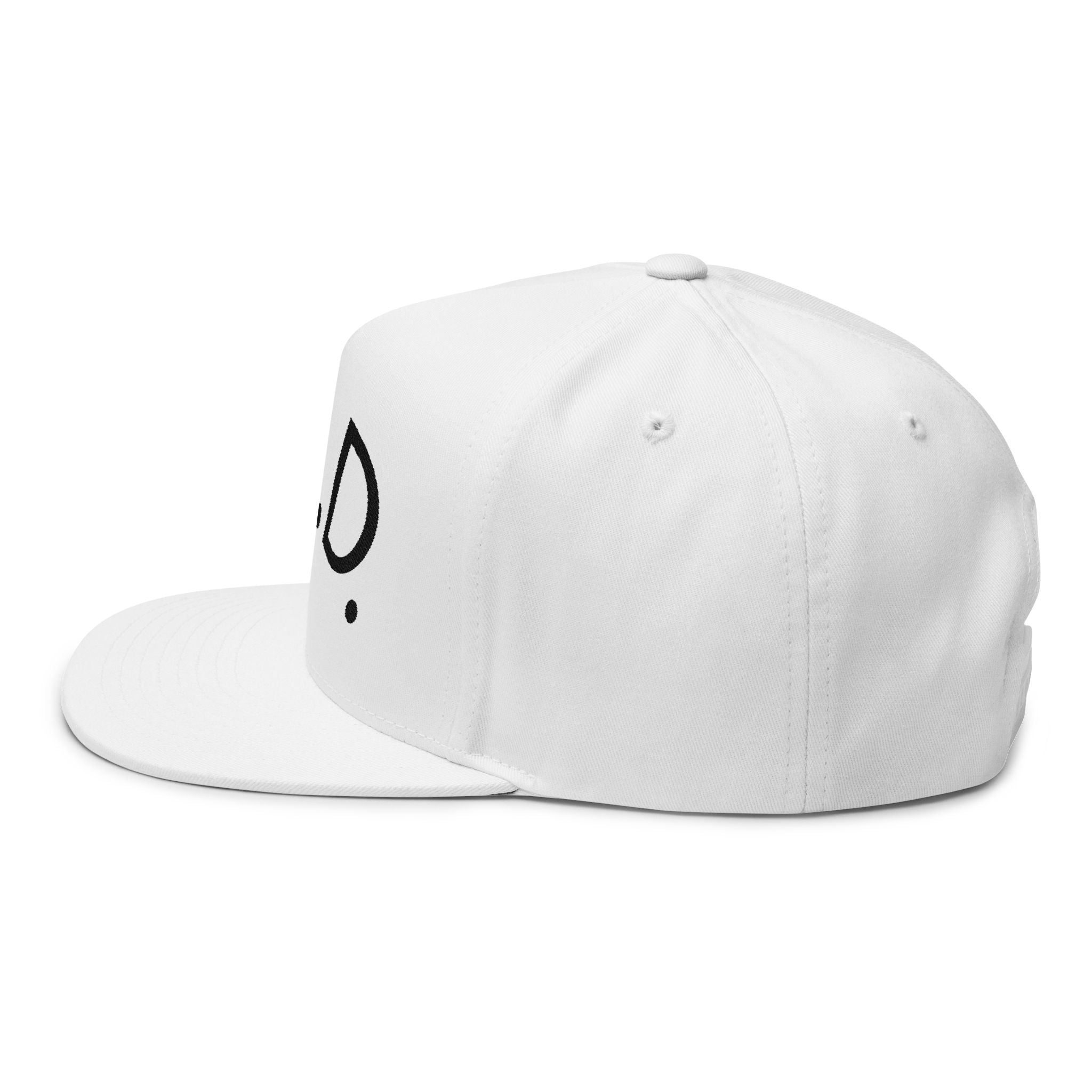 P.L.D. Embroidered Flat Bill Cap