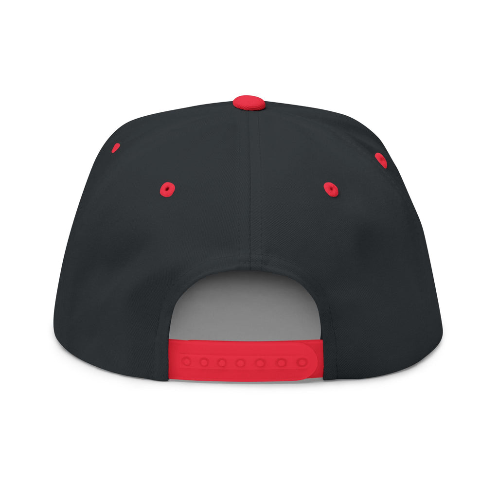 P.L.D. Embroidered Flat Bill Cap