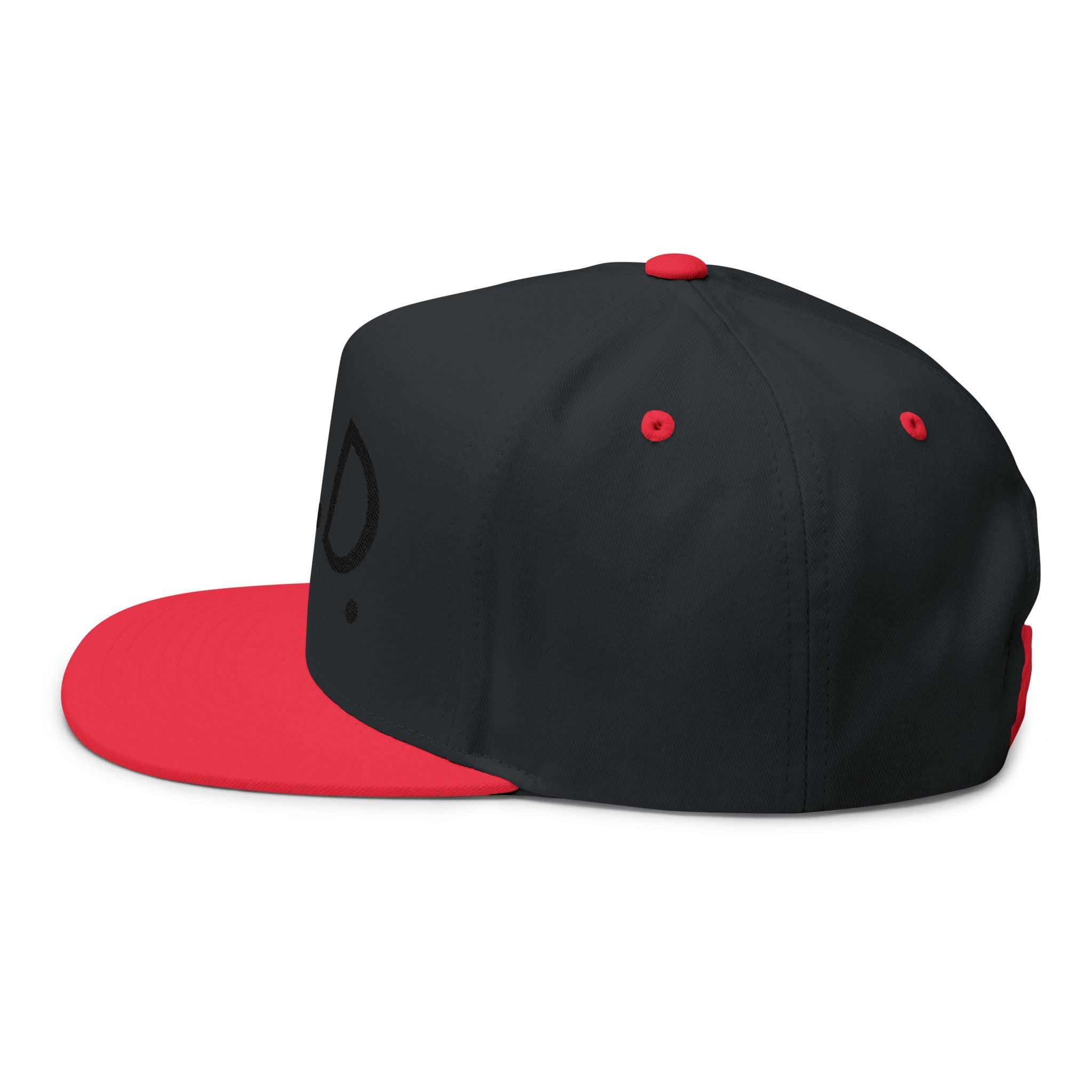 P.L.D. Embroidered Flat Bill Cap