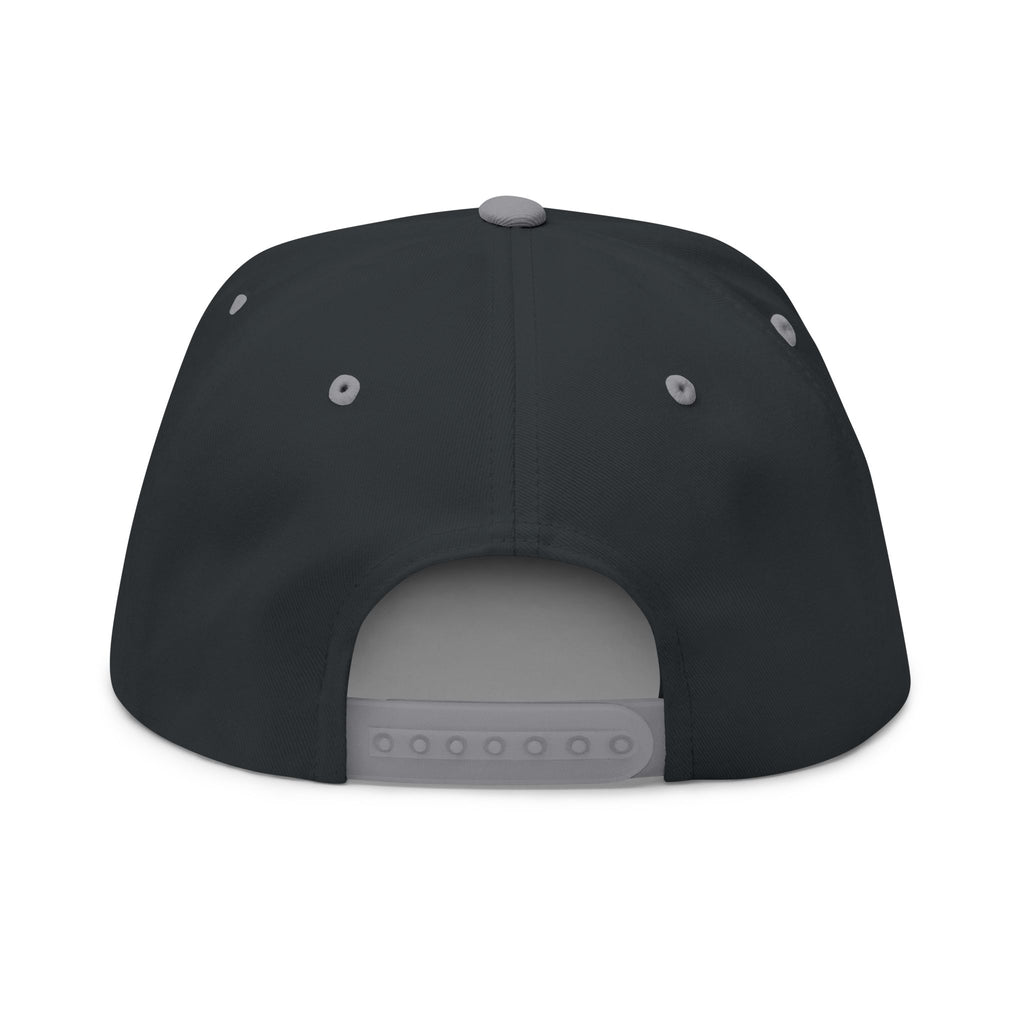 P.L.D. Embroidered Flat Bill Cap