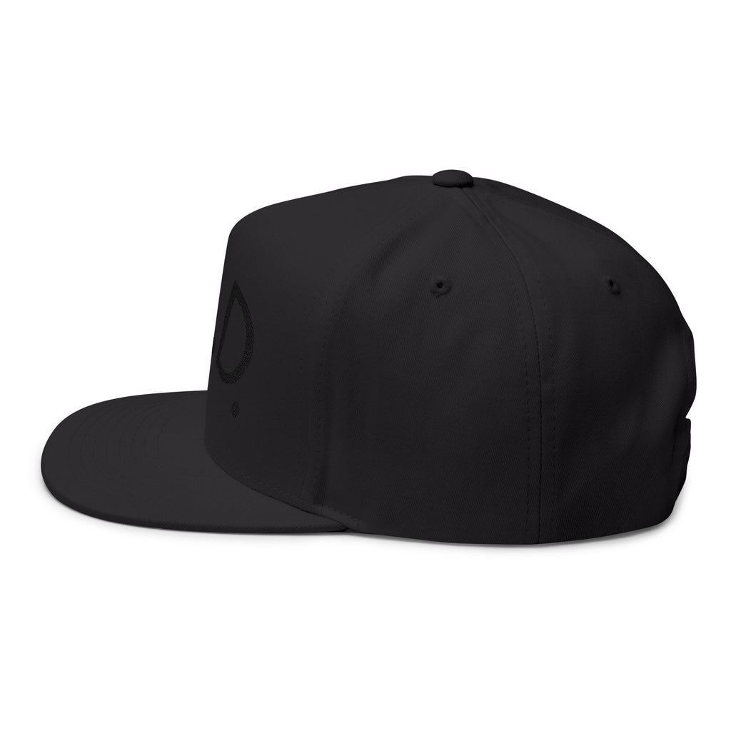 P.L.D. Embroidered Flat Bill Cap
