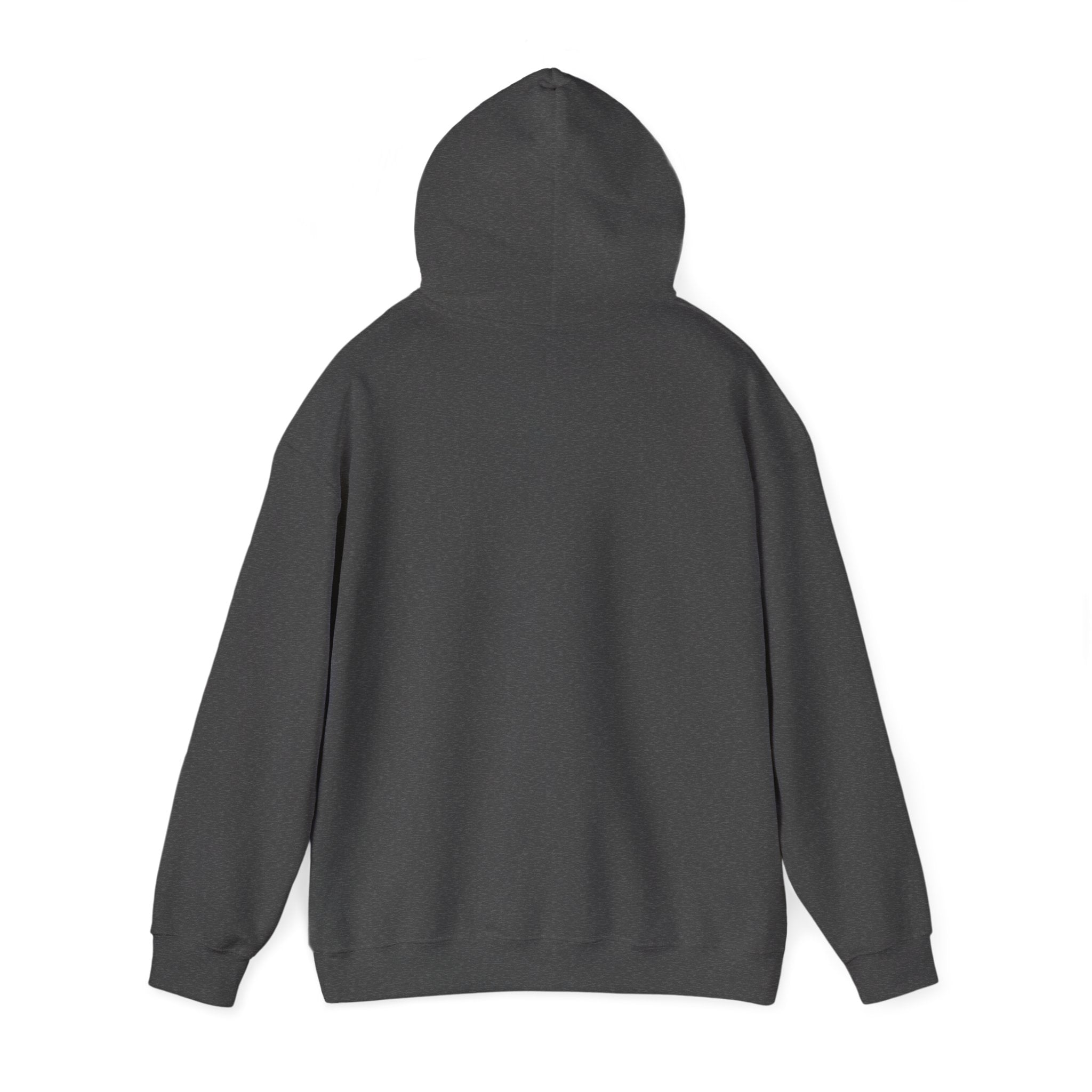 Poor Life Decisions Hoodie – Funny Crown Graphic Pullover for Party Lovers