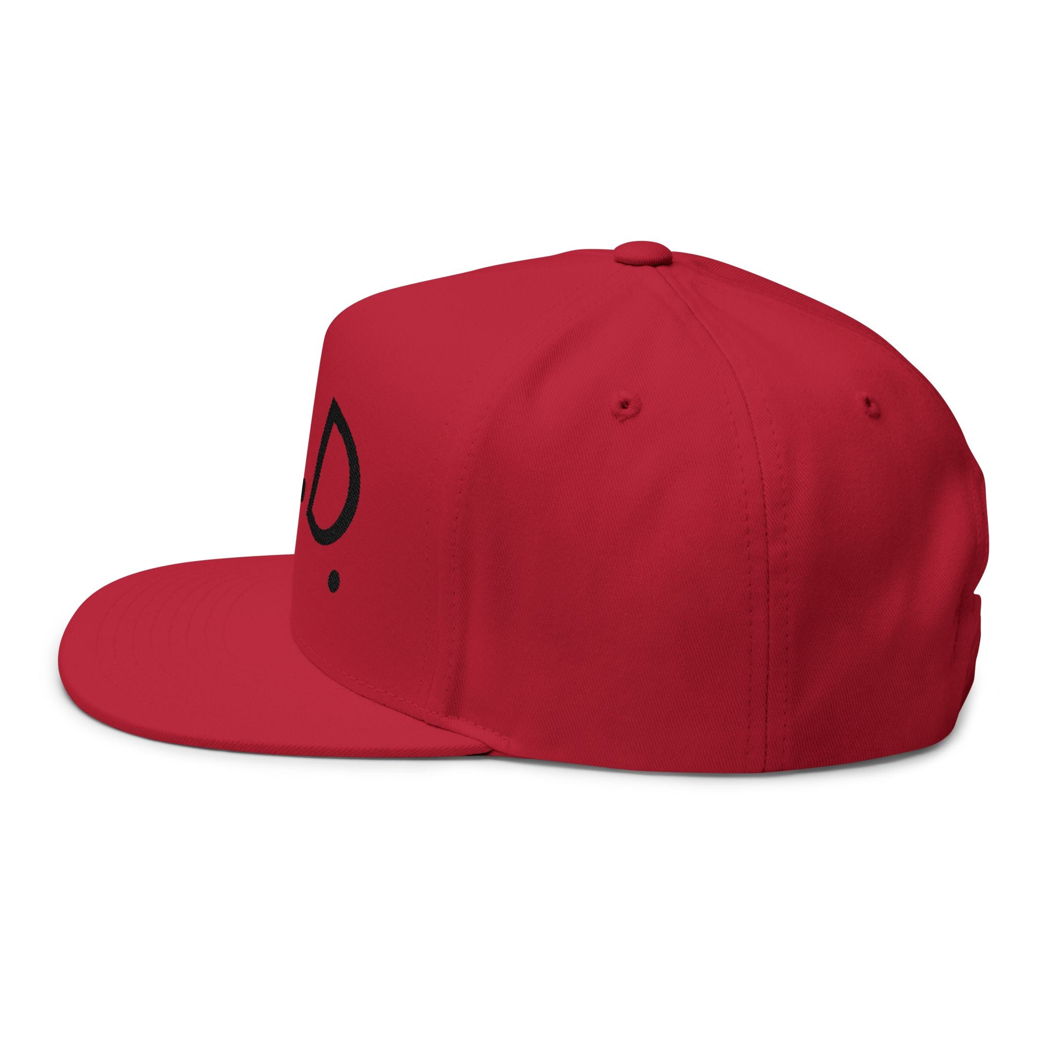 P.L.D. Embroidered Flat Bill Cap