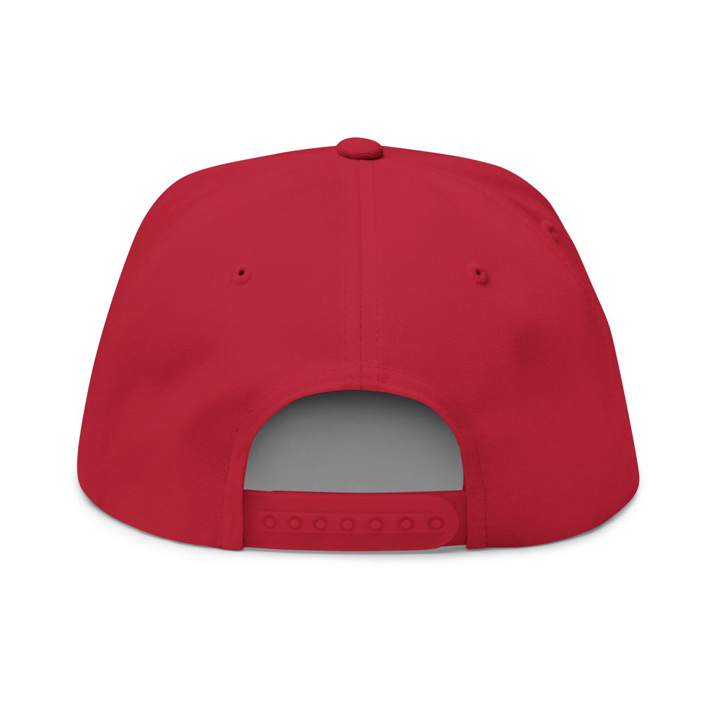 P.L.D. Embroidered Flat Bill Cap