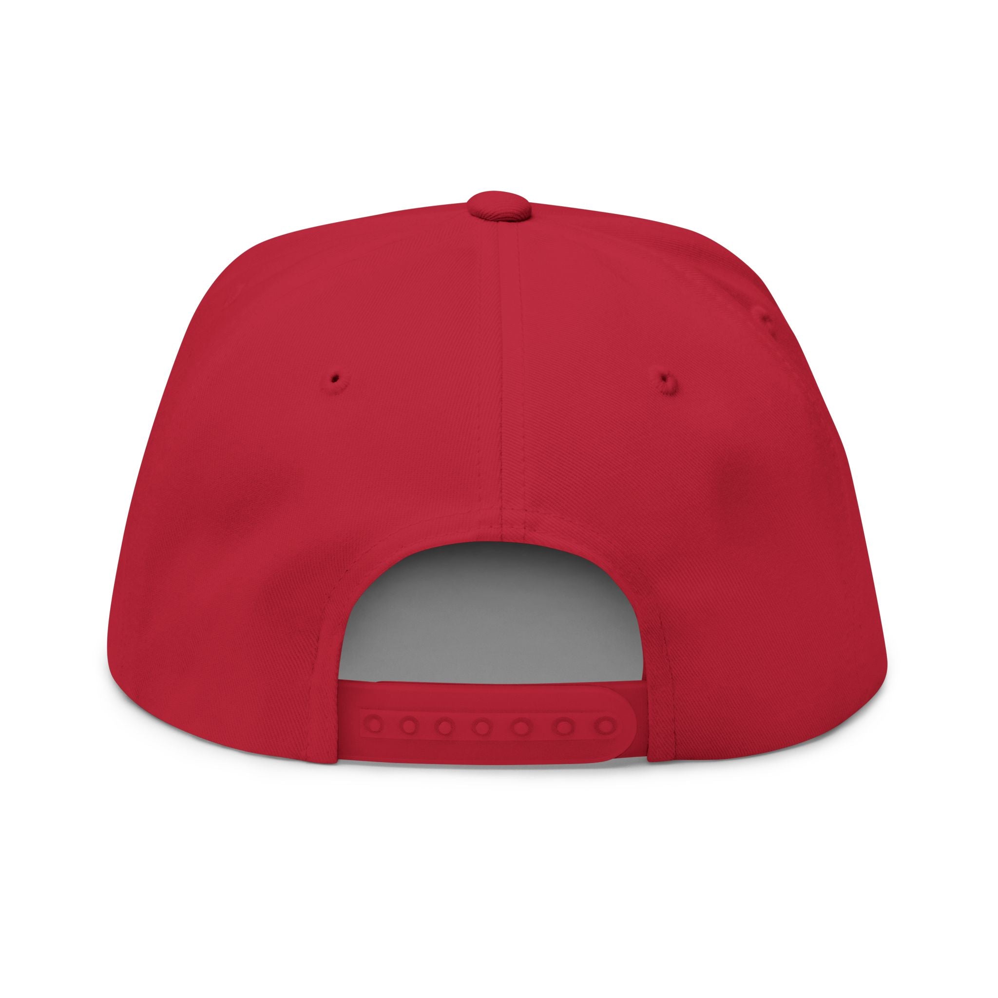 P.L.D. Embroidered Flat Bill Cap
